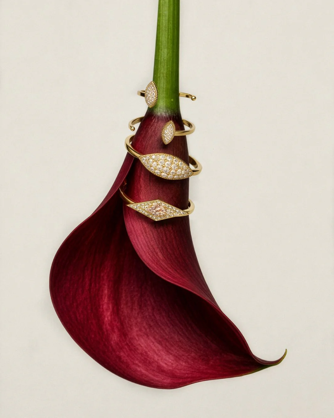 Miniatuur 3